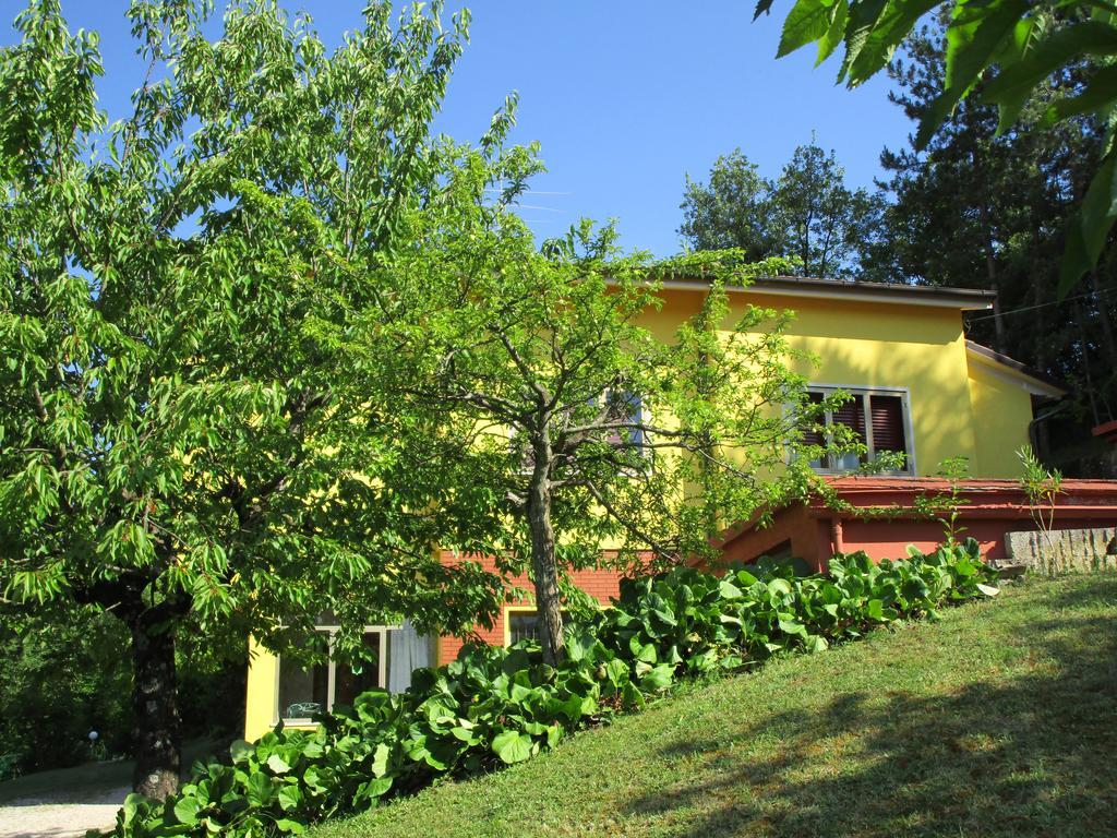 Casa Balducci Bed&Breakfast Mercatello sul Metauro Bagian luar foto