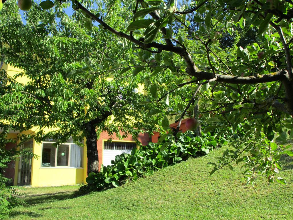 Casa Balducci Bed&Breakfast Mercatello sul Metauro Bagian luar foto